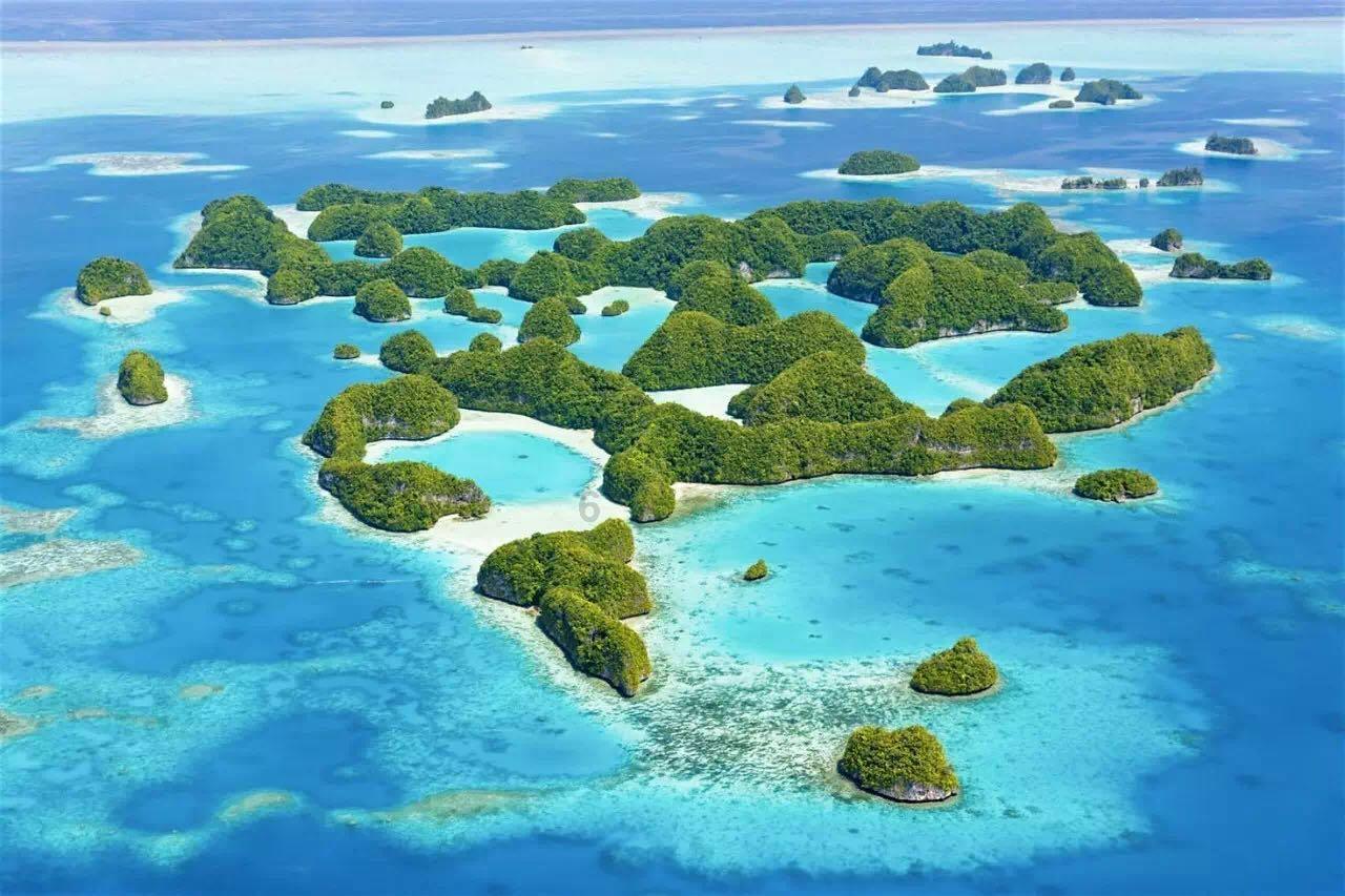 潘长江时隔两年重开直播喊冤:绝没卖假酒,30年没做过亏心的事