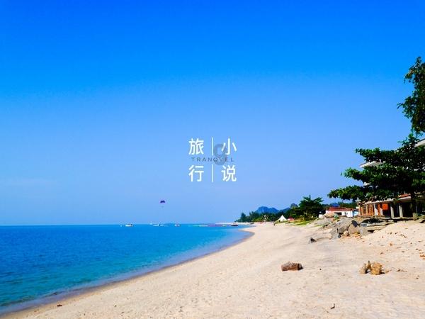 救援袋鼬