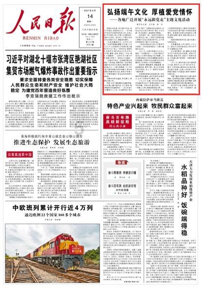 精灵格蕾