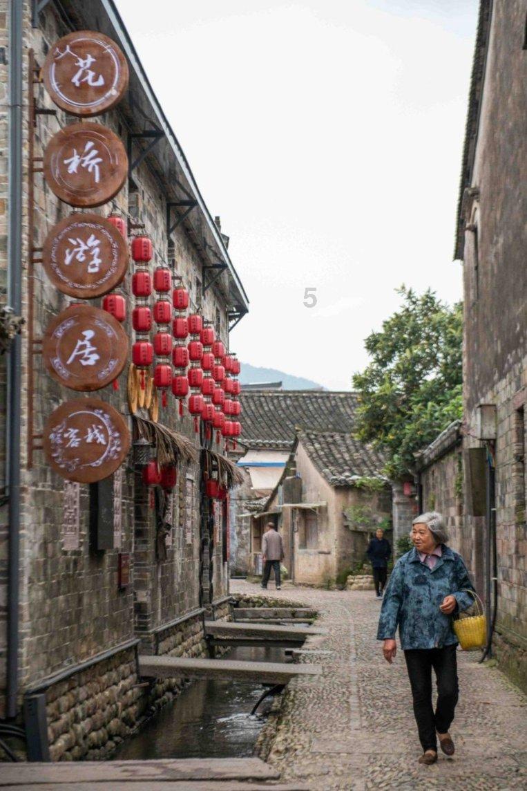 破碎的动物图形